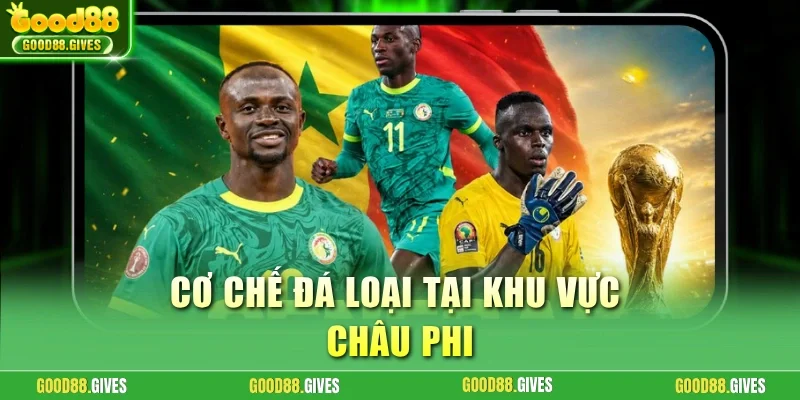 Cơ chế đá loại tại khu vực Châu Phi
